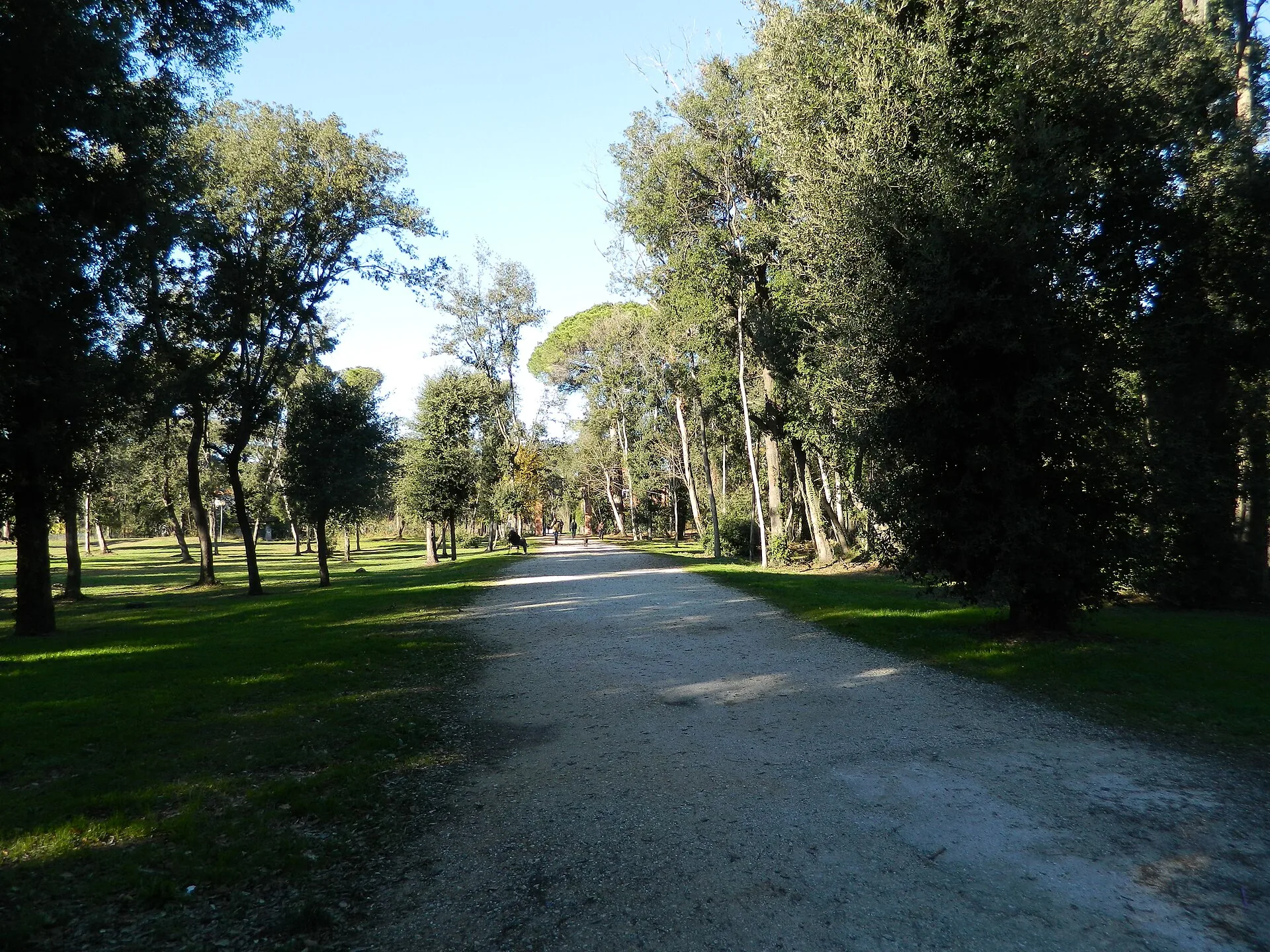 Il viale alberato nella pineta del parco della Versiliana a Marina di Pietrasanta